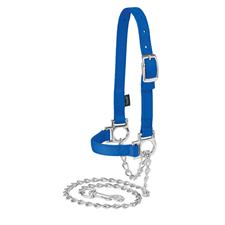 Halter Sheep w/ Chain Lead