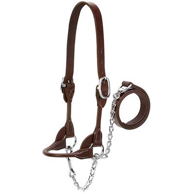 Halter Beef Rounded Show