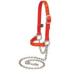 Halter Sheep w/ Chain Lead