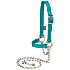 Halter Sheep w/ Chain Lead