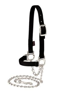 Halter Sheep w/ Chain Lead