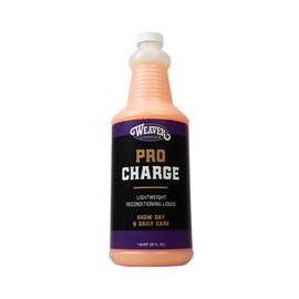 ProCharge