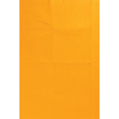 Chamois- Ultra Absorbant