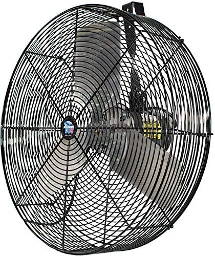 Fans