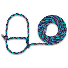 Halters Rope Cattle