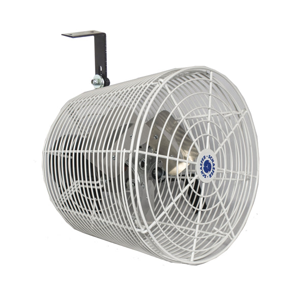 Fans